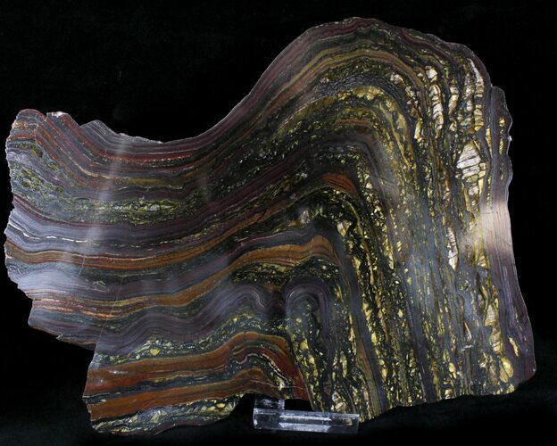 Banded Tiger Iron Stromatolite - Australia ( Billion Years) #22495